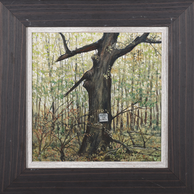 pintura JUAN HUMARAN